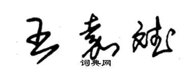朱锡荣王嘉斌草书个性签名怎么写