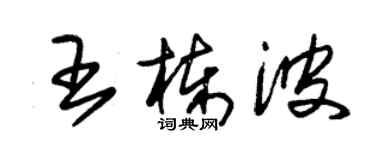 朱锡荣王栋波草书个性签名怎么写