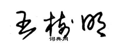 朱锡荣王树明草书个性签名怎么写