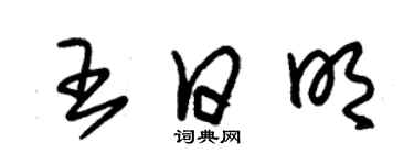 朱锡荣王日明草书个性签名怎么写