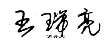 朱锡荣王瑞亮草书个性签名怎么写