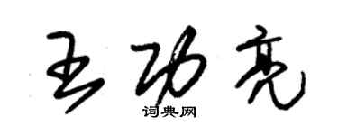 朱锡荣王功亮草书个性签名怎么写