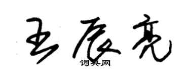 朱锡荣王辰亮草书个性签名怎么写
