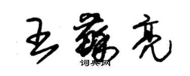 朱锡荣王苏亮草书个性签名怎么写