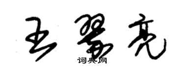 朱锡荣王翠亮草书个性签名怎么写