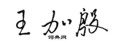 骆恒光王加殷草书个性签名怎么写