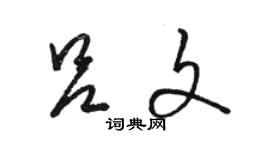 骆恒光吕文草书个性签名怎么写