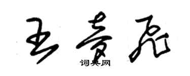 朱锡荣王梦飞草书个性签名怎么写