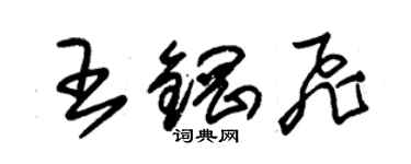 朱锡荣王钢飞草书个性签名怎么写
