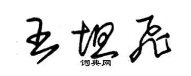 朱锡荣王坦飞草书个性签名怎么写
