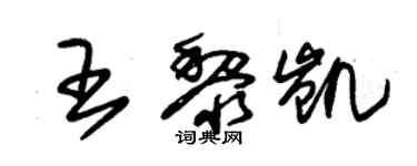 朱锡荣王黎凯草书个性签名怎么写