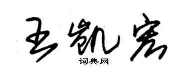 朱锡荣王凯宏草书个性签名怎么写