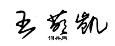 朱锡荣王萌凯草书个性签名怎么写