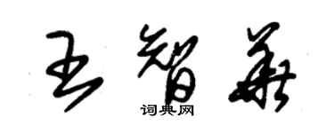 朱锡荣王智华草书个性签名怎么写