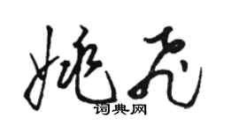 骆恒光姚飞草书个性签名怎么写
