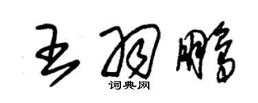 朱锡荣王羽鹏草书个性签名怎么写