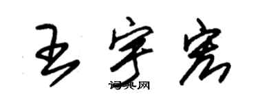朱锡荣王宇宏草书个性签名怎么写
