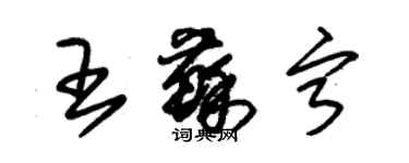 朱锡荣王苏宁草书个性签名怎么写