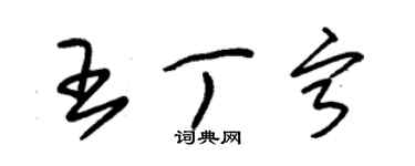 朱锡荣王丁宁草书个性签名怎么写