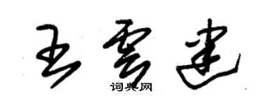 朱锡荣王云建草书个性签名怎么写