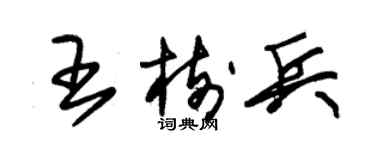 朱锡荣王树兵草书个性签名怎么写