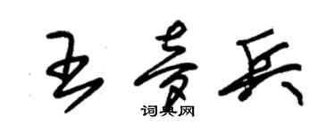 朱锡荣王梦兵草书个性签名怎么写