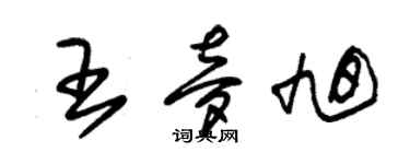 朱锡荣王梦旭草书个性签名怎么写