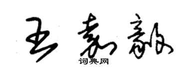 朱锡荣王嘉毅草书个性签名怎么写