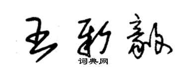 朱锡荣王新毅草书个性签名怎么写