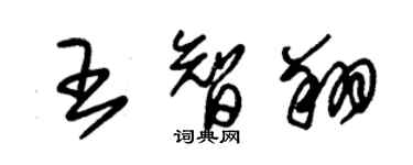朱锡荣王智翔草书个性签名怎么写