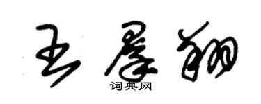 朱锡荣王群翔草书个性签名怎么写