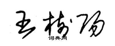 朱锡荣王树阳草书个性签名怎么写