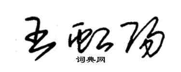 朱锡荣王虹阳草书个性签名怎么写
