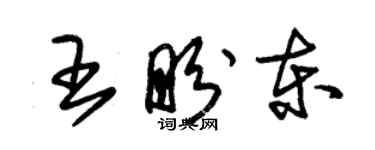 朱锡荣王盼东草书个性签名怎么写