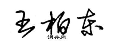 朱锡荣王柏东草书个性签名怎么写