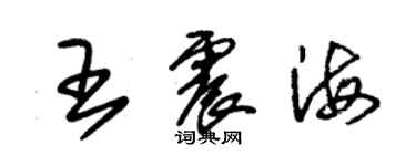朱锡荣王震海草书个性签名怎么写