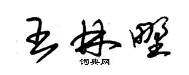 朱锡荣王林野草书个性签名怎么写