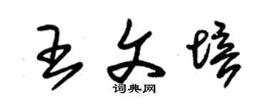 朱锡荣王文培草书个性签名怎么写
