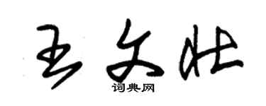 朱锡荣王文壮草书个性签名怎么写