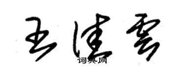 朱锡荣王佳云草书个性签名怎么写