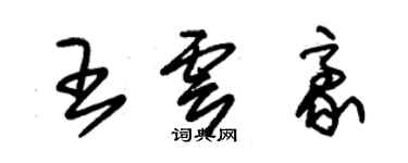 朱锡荣王云豪草书个性签名怎么写