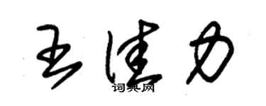 朱锡荣王佳力草书个性签名怎么写