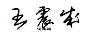 朱锡荣王震成草书个性签名怎么写