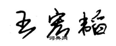 朱锡荣王宏韬草书个性签名怎么写