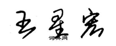 朱锡荣王星宏草书个性签名怎么写