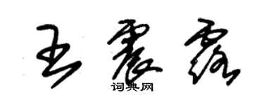 朱锡荣王震露草书个性签名怎么写