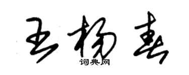 朱锡荣王杨春草书个性签名怎么写