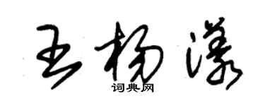 朱锡荣王杨漾草书个性签名怎么写