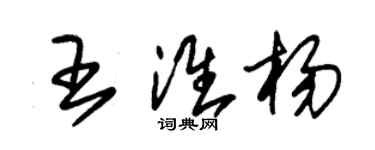 朱锡荣王淮杨草书个性签名怎么写