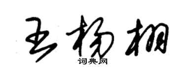 朱锡荣王杨栩草书个性签名怎么写